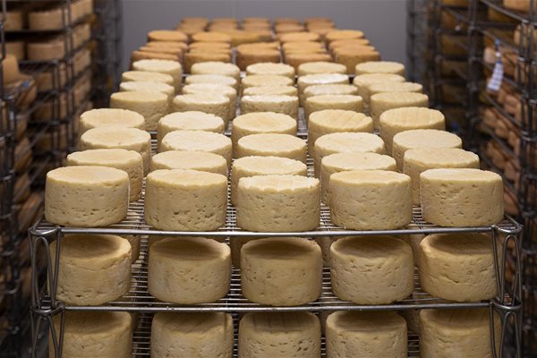 Cơ hội đẩy mạnh xuất khẩu bơ sữa vào thị trường Israel